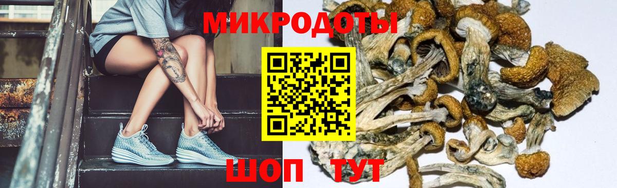 Псилоцибиновые грибы мицелий  Вход с VPN  Галлюциногенные грибы мухоморы  Петровск 